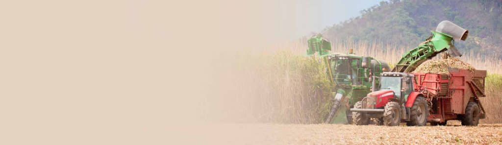 Agriculture loans