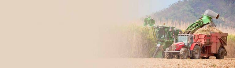 Agriculture loans