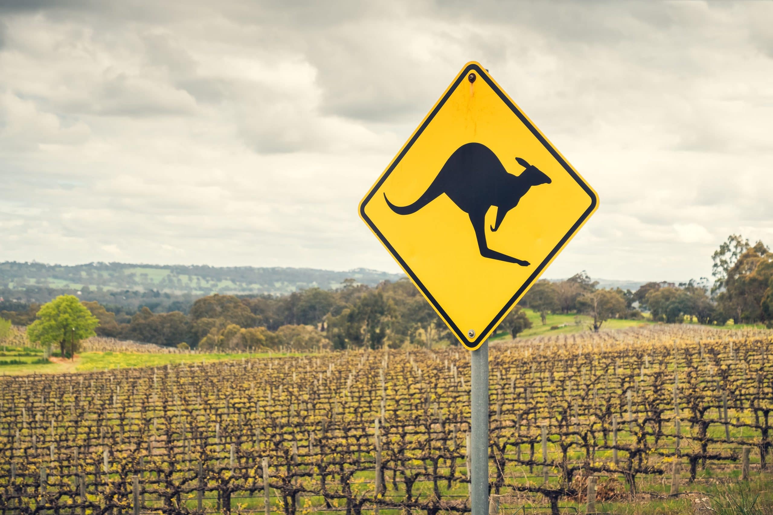 Wine in Australia: Still the Taste of the World?