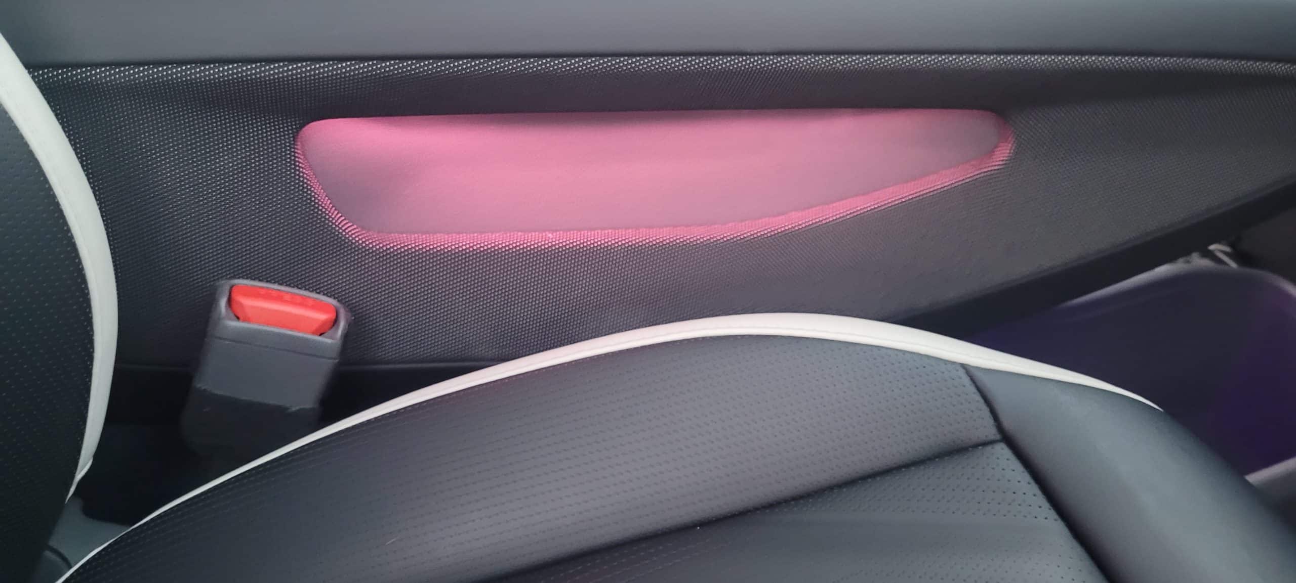 Kia EV9 front left door interior
