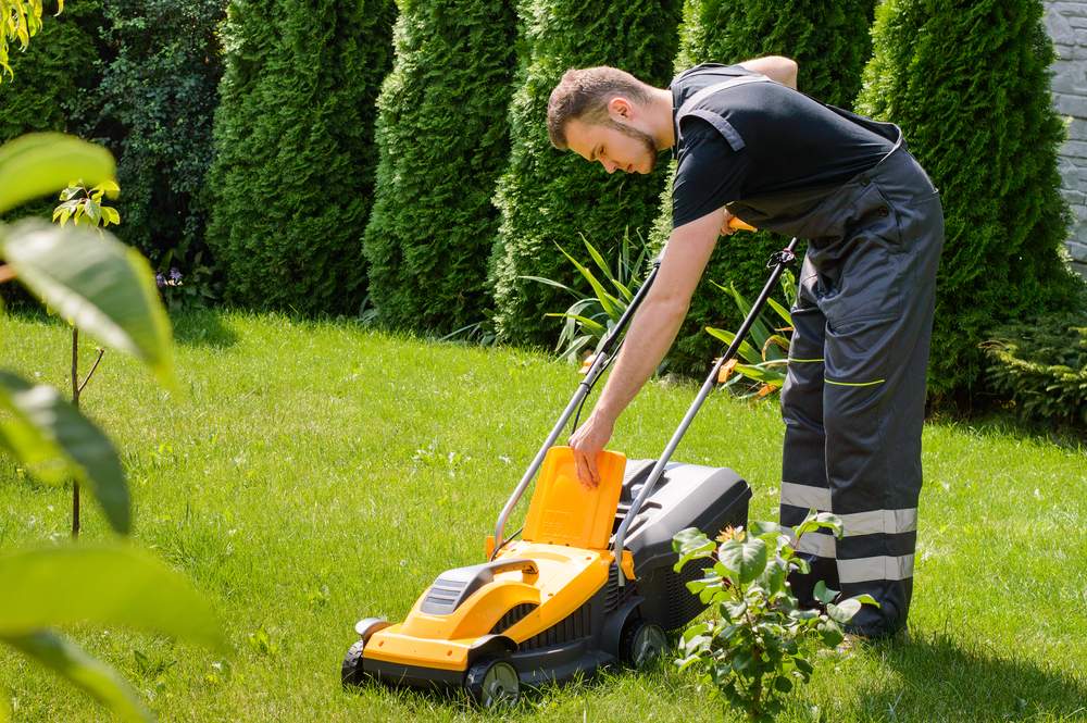 business-insurance-for-lawn-mowing-compare-quotes-savvy