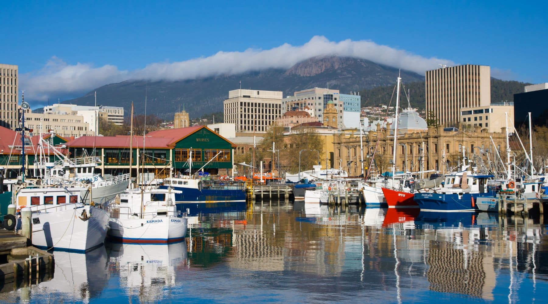 Compare Energy Plans in Tasmania