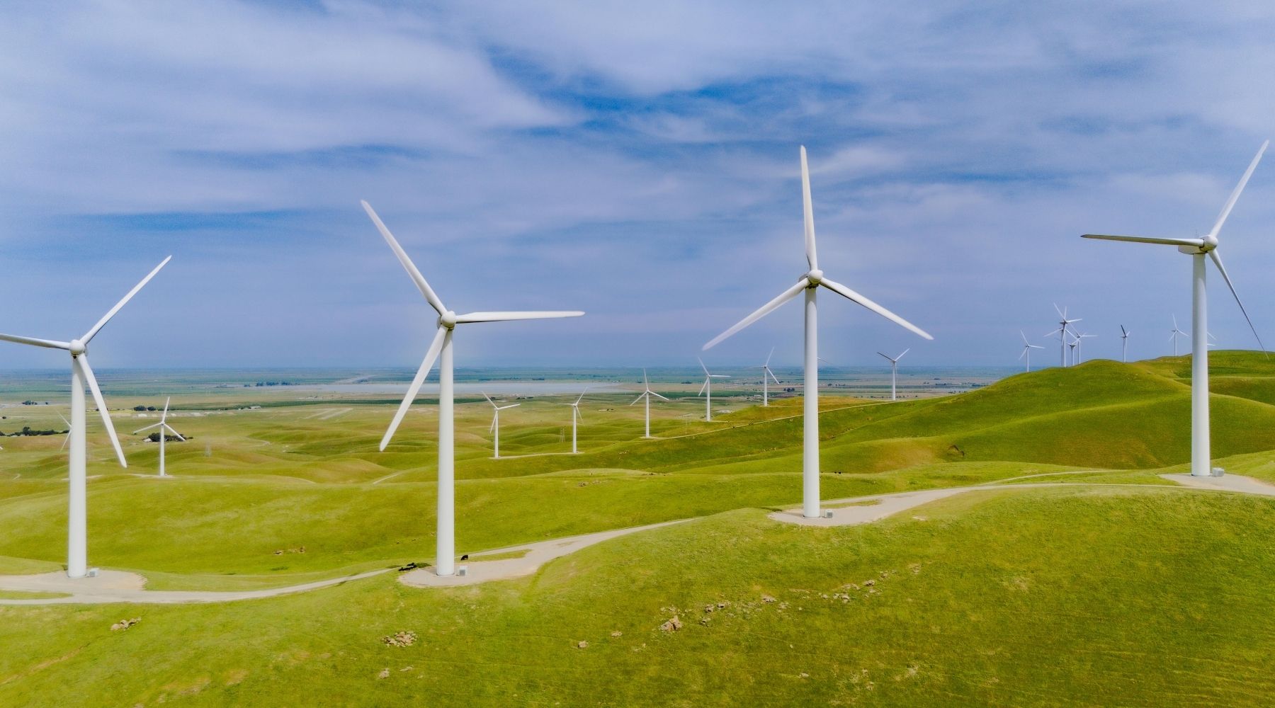 Row of wind turbines spinning on a hill