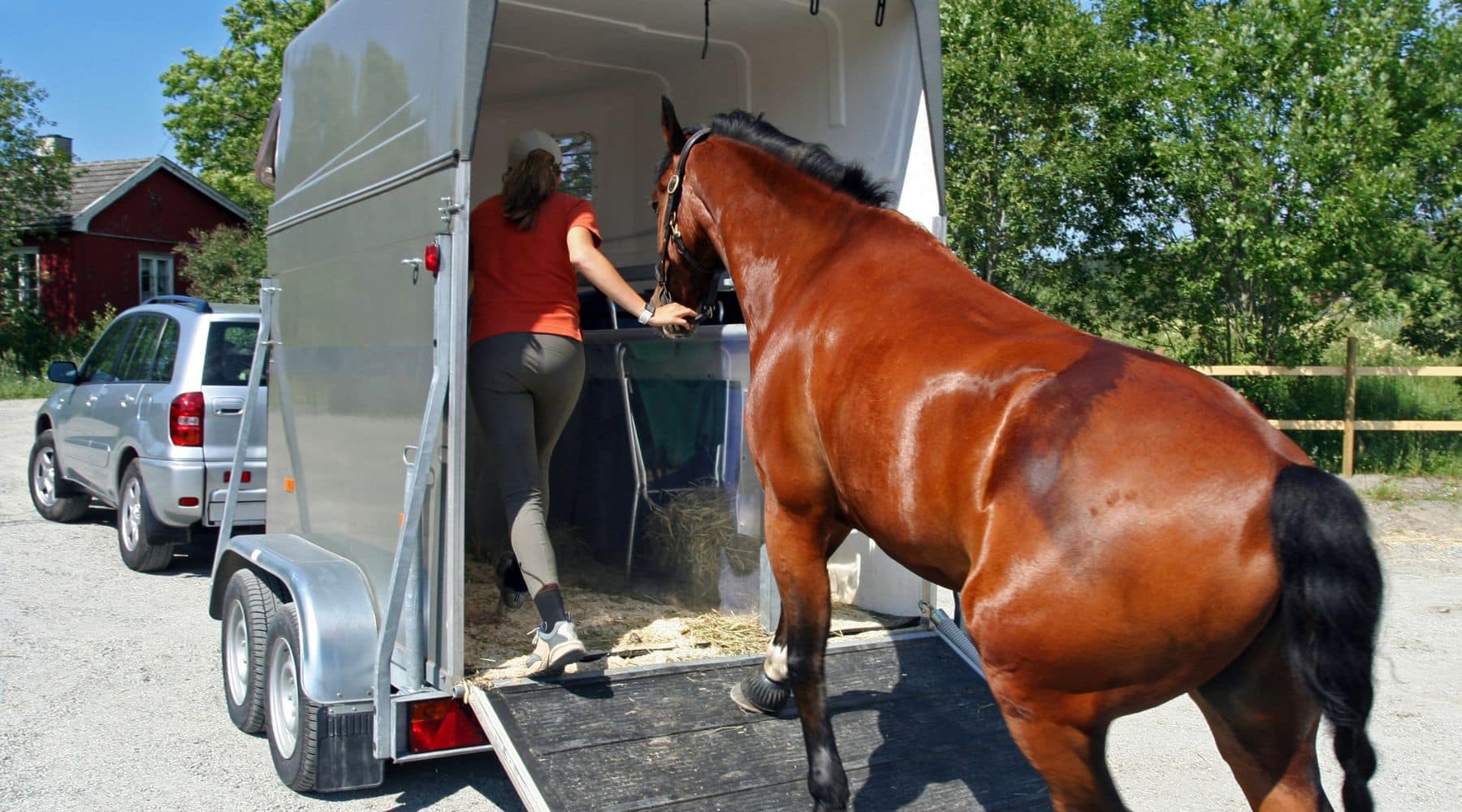 Horse Float Finance