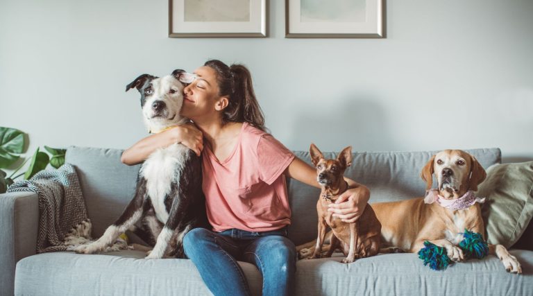 Woman sitting on sofa with her pet dogs