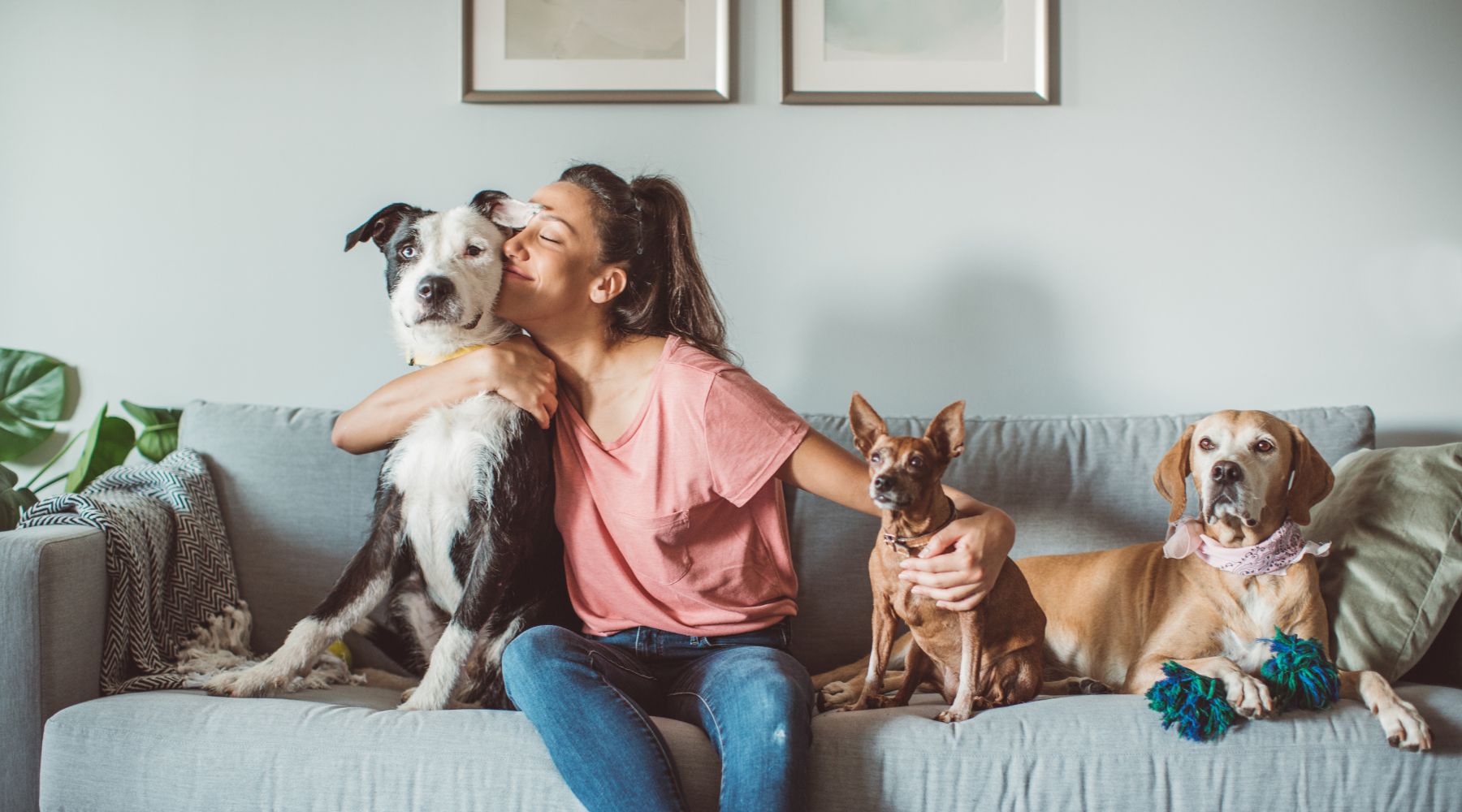 Multiple Pet Insurance