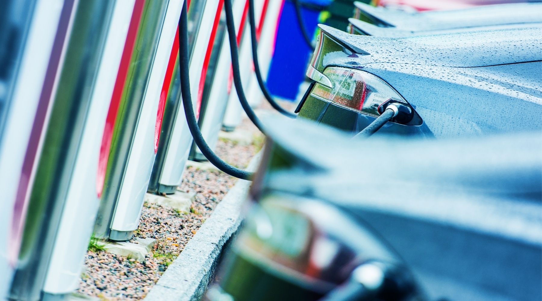 A row of electric vehicles charging
